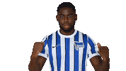 Home Bundesliga Sticker by Hertha BSC