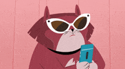 Hold On Cats GIF by Kitty Is Not A Cat