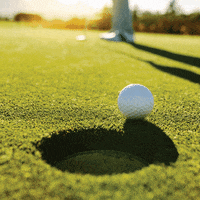 AloeUp golf aloe aloe vera putt GIF