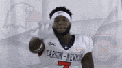 Carson Newman Football GIF by Carson-Newman Athletics
