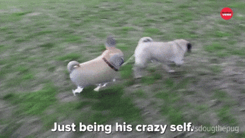 Just Being His Crazy Self