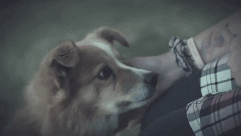 Misfits Salon GIF by BBC Three