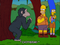 homer simpson GIF