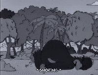 homer simpson GIF
