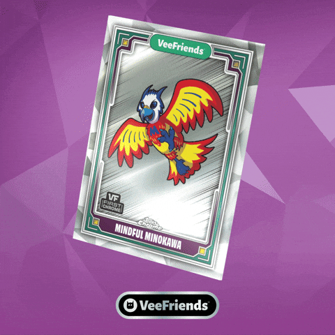 Box Collect GIF by VeeFriends