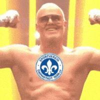 Sv Darmstadt 98 GIF