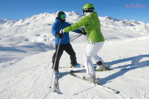 SkiBro giphyupload skiing skibro GIF