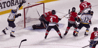 st louis sport GIF by St. Louis Blues