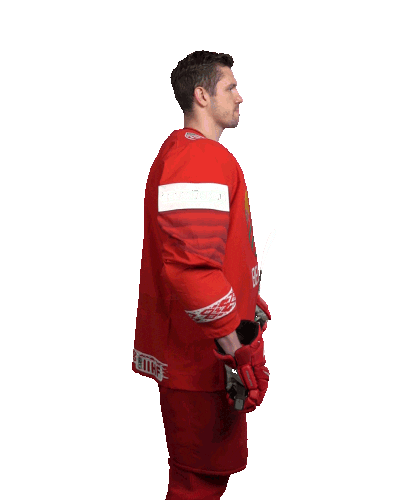 Celebrate Hockey Player Sticker by International Ice Hockey Federation