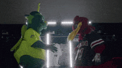 South Carolina Baseball GIF by University of South Carolina