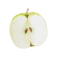 wineandsomething illustration drawing wine fruit Sticker