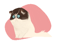 eightbreeze cat cute persian cutecat Sticker