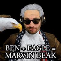 Bald Eagle Ben GIF