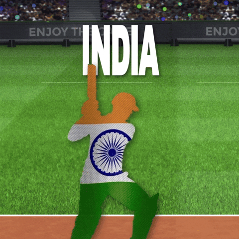 Cricket World Cup Sport GIF by RightNow