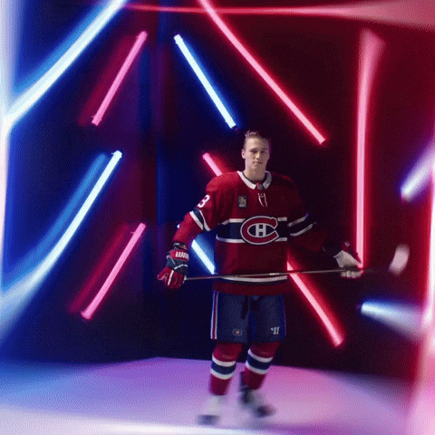 Hockey Nhl GIF