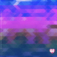 rosemodesto mato grosso do sul pantanal rose modesto eduardo riedel GIF