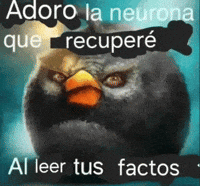 Angry Birds Facts GIF