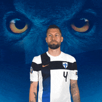 Euro Cup Football GIF by Huuhkajat