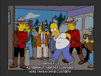 homer simpson episode 6 GIF