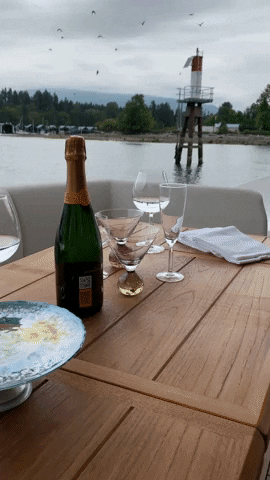 jamaqueparadis champagne luxury boat lifestyle GIF