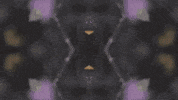 Art Film GIF by jorgemariozuleta