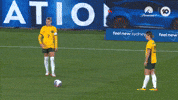 Goal Header GIF by Football Australia