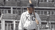 fan kc GIF by MLB