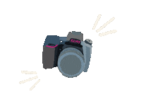 itsremyphotos camera remy itsremyphotos remyphotography Sticker