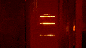On Fire GIF by NETFLIX