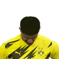 Line Up Hello Sticker by Bundesliga