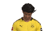Its Me Hello Sticker by Bundesliga