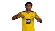 Borussia Dortmund Wow Sticker by Bundesliga