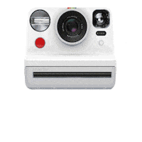 loacker polaroid loacker Sticker