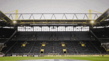 yellow wall gelbe wand GIF by Borussia Dortmund