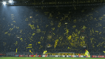 yellow wall fans GIF by Borussia Dortmund