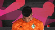 Werder Bremen Football GIF by Bundesliga