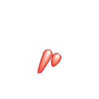 Paint Protection Sticker by Permagard India