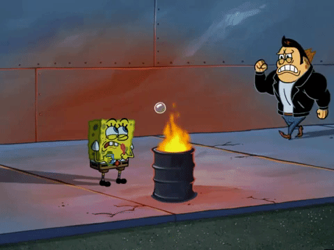 season 5 GIF by SpongeBob SquarePants