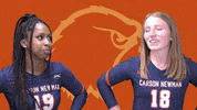C-N Volleyball GIF by Carson-Newman Athletics