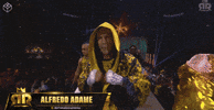 Alfredo Adame Box GIF by G1ft3d