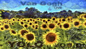 Van Gogh Art GIF by Yolo Rum