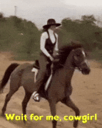 Wait For Me Cowgirl GIF