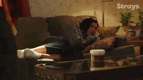 Season 2 Cbc GIF by Strays