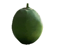 summer gym Sticker by garnier_pt