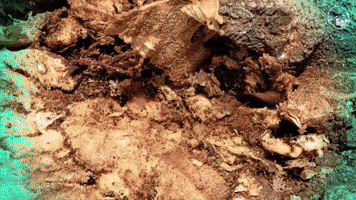 Once A Stump