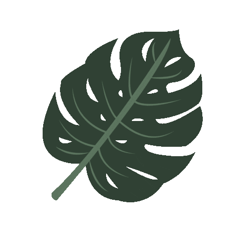nancycasanova giphyupload aesthetic plants monstera Sticker