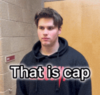 Lying This Is A Lie GIF