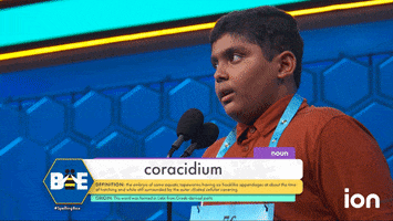 Spelling Bee Sigh GIF by Scripps National Spelling Bee