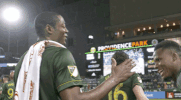 portland timbers soccer GIF by Timbers