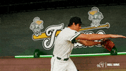 College Baseball Carter GIF by GreenWave